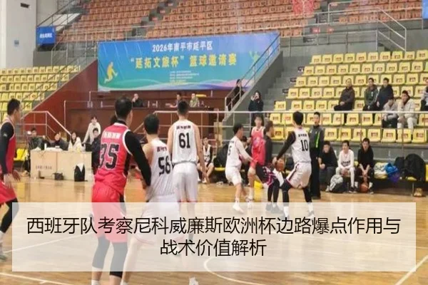 西班牙队考察尼科威廉斯欧洲杯边路爆点作用与战术价值解析