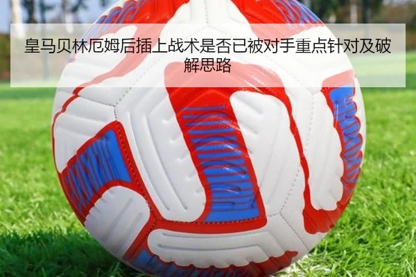 img_1781449262958_219_1_422.jpg