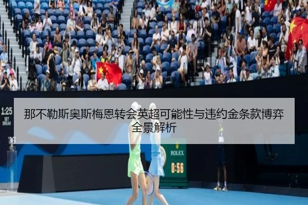 那不勒斯奥斯梅恩转会英超可能性与违约金条款博弈全景解析