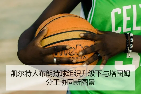 凯尔特人布朗持球组织升级下与塔图姆分工协同新图景